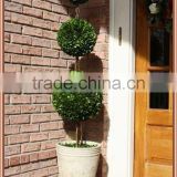 white potted preserved triple boxwood balls tree