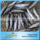 Hot Selling 18 Months Shelf Life Good Quality About Frozen Bonito thumbnail-1