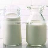 Homemade Yogurt Powder thumbnail-1