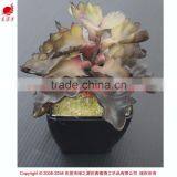 Cheap Wholesale Artificial Succulent Plants Tropical Plants thumbnail-1