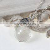 New Fashion Real Dandelion Clear Glass Round Pendant Necklace Link Curb Chain Silver Plated With Oval Message " Wish " Carved thumbnail-2