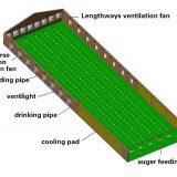 Broiler Chicken Feeding System and Chicken Farm Equipment thumbnail-2