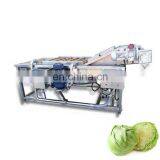 Root and Leafy Vegetable Fruit Lettuce Cabbage Avocado Bubble Washing Washer Machine thumbnail-6