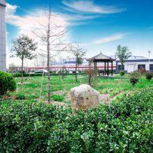 Dongli Electric company overview - view 4 thumbnail