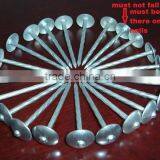 Galvanized Umbrella Roofing Nails 2.5"
