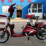Hot Sales Popular Design 350W 48V 12AH 2 Wheel Electric Bicycle thumbnail-2