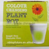 Colour Changing Plant Pot thumbnail-2