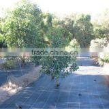 Weed Mat thumbnail-4