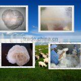 100% Wool White Cashmere thumbnail-1