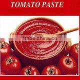 Tomato Paste in Canned