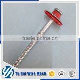 Clout Head Galvanized Coil Roofing Nails thumbnail-6