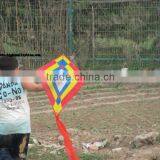 Diamond Kite
