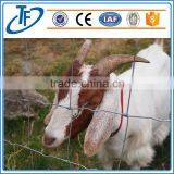 Professional Manufacturer Cheap Galvanized Wire Farm Fence for Cattle/sheep thumbnail-5