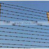 Powder Coated or Galvanized Barbed Wire With High Quality