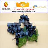 Artificial Emulation Soft Rubber Grapes Fruit Model thumbnail-1