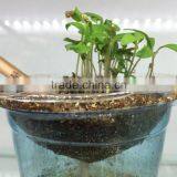 Pencil Can be Planted thumbnail-1