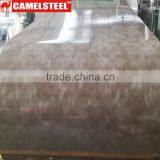 Beautiful Decorative Pattern Prepainted Galvanized Steel Coil thumbnail-4