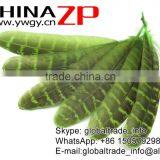 ZPDECOR Feather Dyed Green Hen Ringneck Pheasant Wing Quills Feather thumbnail-4