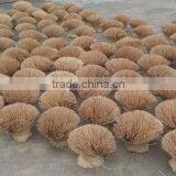 Agarbatti Incense Bamboo Stick for India Market thumbnail-2