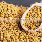 FENUGREEK METHI DANA thumbnail-2