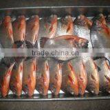 Delicious Frozen Black Pomfret Fish 500-1000g thumbnail-1