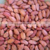 50/60 red skin peanut kernels ,shandong peanut kernels in china