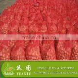 Onion Importers in Quatar/onion Importers in Malaysia/fresh Onion thumbnail-3