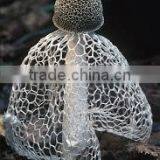 Dictyophora Indusiata thumbnail-6