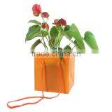 Flower and bonsai Packages