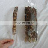 Fly Tying Feather Natural Feather thumbnail-6