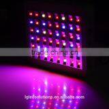 2016 High Quality ETL Listed Mars Hydro Reflector 48*5W LED Grow Light With Growth/Bloom Button Indoor Plant Lighting thumbnail-6