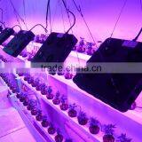 810W Mcob Plant Grow Light Lamp for Greenhouse, Hydroponics, Greenhouse, Ideal to Replace the 1000w Hps,hid thumbnail-5
