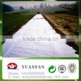 Polypropylene Agriculture Plastic Ground Cover Mesh thumbnail-6