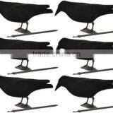 Full Body Flocked Crow Decoys thumbnail-1
