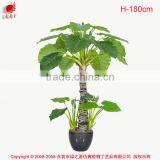 115 to 230cm Artificial Trees Dishlia Pots Plant Artificia House Plants Bonsai Tree thumbnail-4