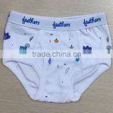 Fashion Design 100% Premium Cotton Boy Briefs
