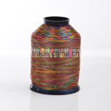 100% Polyester variegated embroidery thread floss