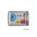 Sell Melamine Tray thumbnail-1
