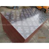 Made in China FILM FACED PLYWOOD, COMBI CORE, WBP PHENOLIC GLUE, IMPORTED BROWN FILM thumbnail-2