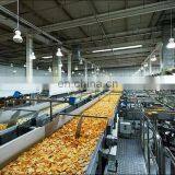 Shanghai FACTORY Small Scale Frozen French Fries Production Line/pringles Potato Chips Making Machine With Best Price thumbnail-5