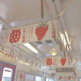 Grocery Shed company overview - view 1 thumbnail