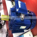 Induction Motor 60kw thumbnail-3