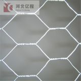 good quality galvanized small hole hexagonal chicken wire mesh