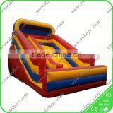 Back Yard Inflatable Water Slide