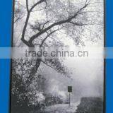 Canvas Painting of Landscape for Gallery Show thumbnail-1