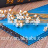 Long Lasting High Capacity Power Bank Super Slim Power Bank 10000mah for Wholesale,rohs Power Ank