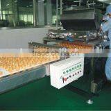 Various Kinds of Newly Designed Professional ce Certificate Manufacturer Automatic Cotton Seed Oil Cake Making Machines Prices thumbnail-1