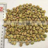 Australian Faba Beans, Fava Beans, Vicia Faba thumbnail-3