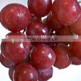 Fresh Style and Grapefruit Type Fresh Fruit From China thumbnail-4