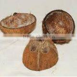 High Quality Decilious Cheap India Coconut Shell thumbnail-1